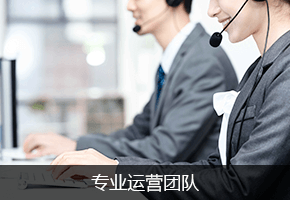 大数据分析及营销服务